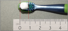 Quantité de dentifrice correspondant à 0,5 – 1 cm
