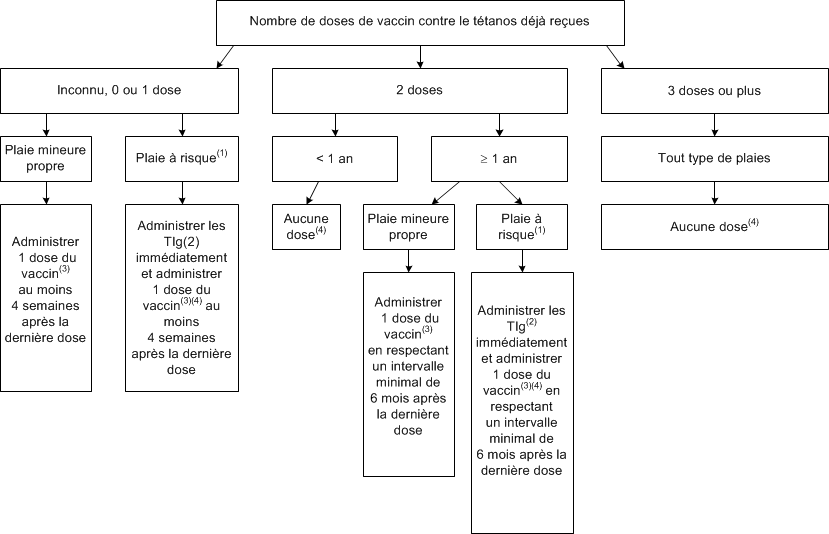 L'image présente un algorithme d'aide à la décision pour la prophylaxie antitétanique (vaccin et immunoglobulines) dans le traitement des plaies chez les enfants âgés de moins de 4 ans.