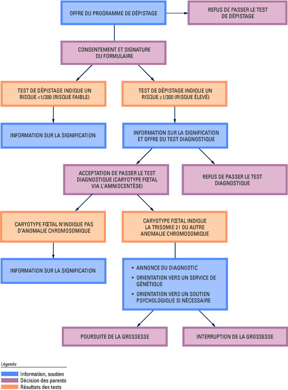 Schéma indiquant les étapes du dépistage et les messages clés des informations à transmettre à chacune de ces étapes.